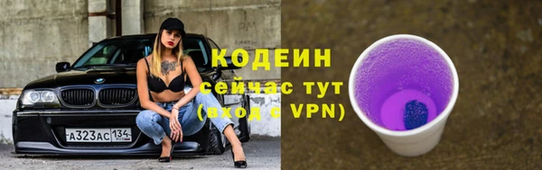 соль ск Елабуга