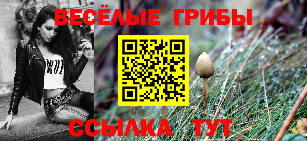 Галлюциногенные грибы ЛСД  Вход с VPN  Галлюциногенные грибы ЛСД  Мелеуз 