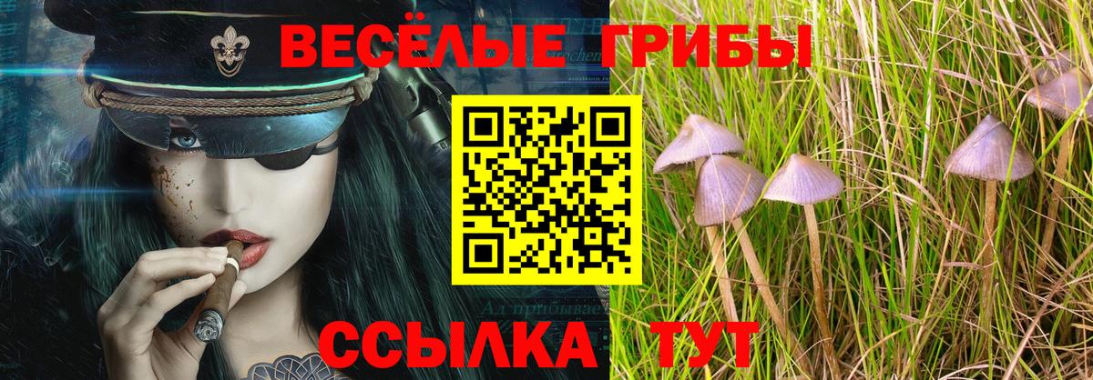 Галлюциногенные грибы мухоморы Мелеуз